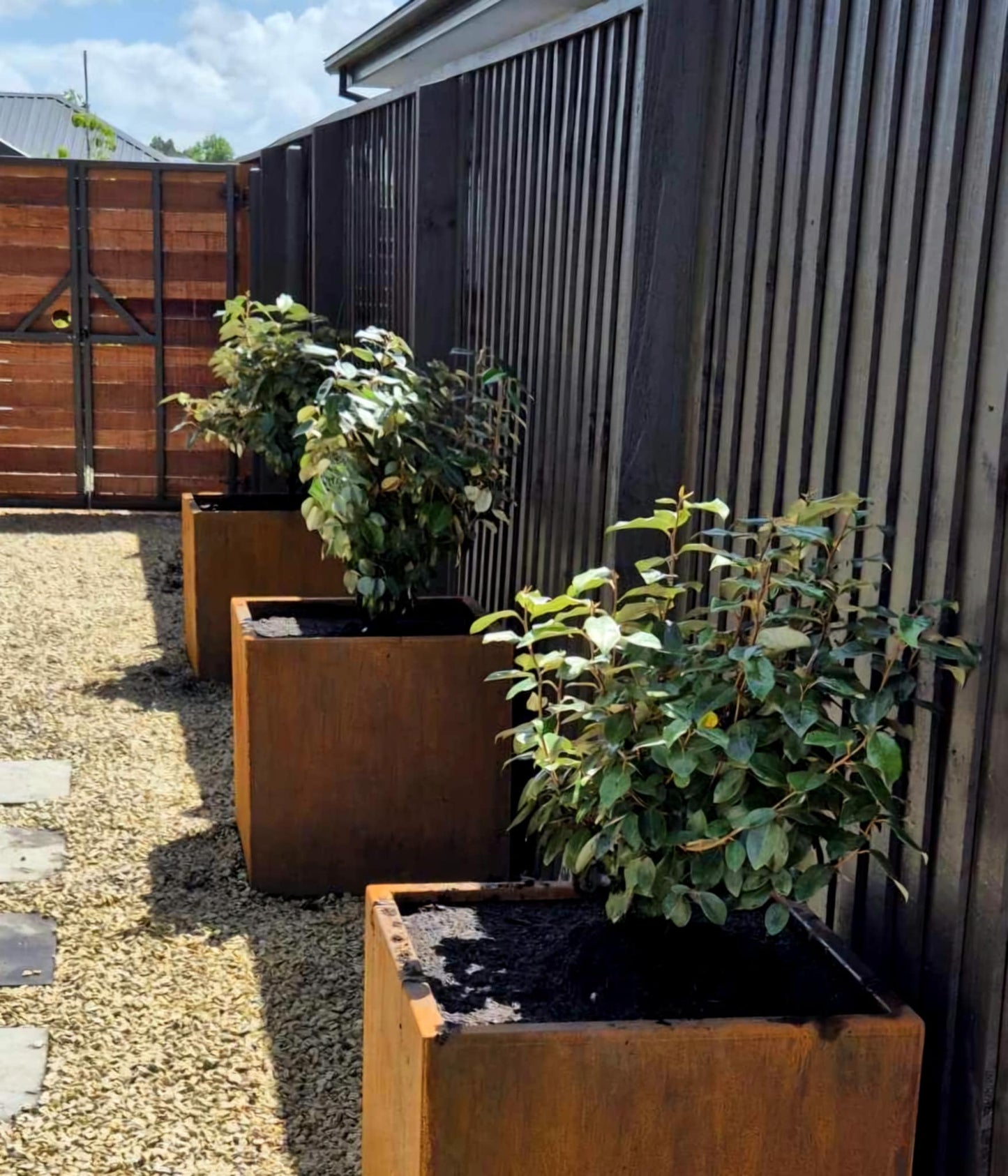 Corten steel planter cube with trees planted on patio