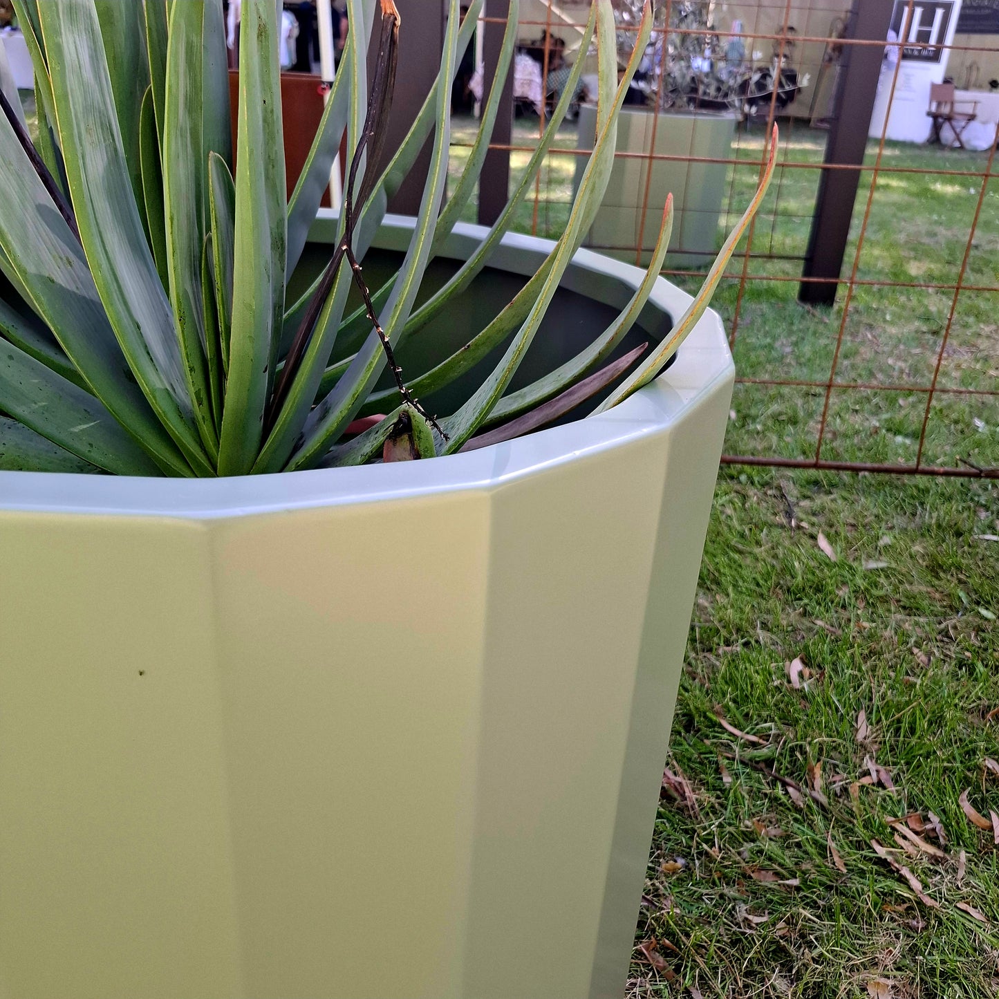 Luxe Multi Sided Planter