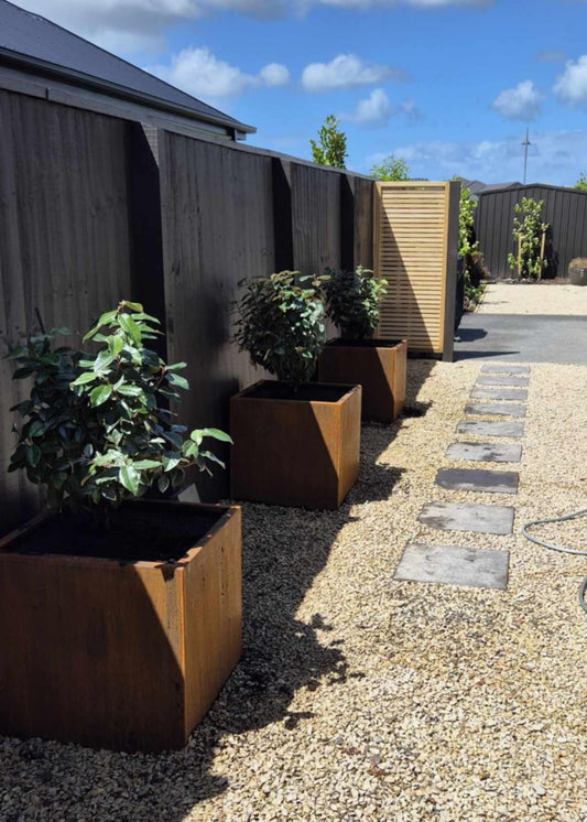 Corten Steel Cube Planter panted with trees in patio