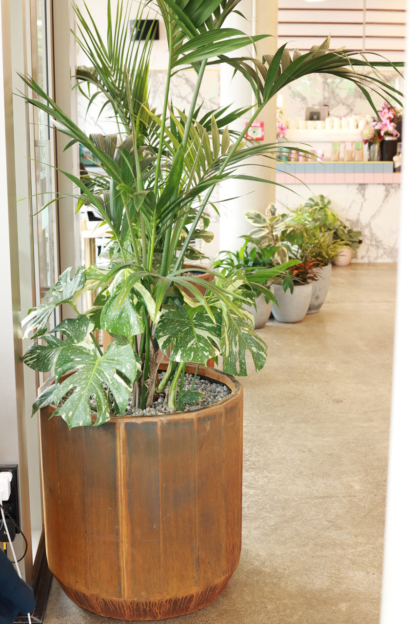 Luxe Multi Sided Planter